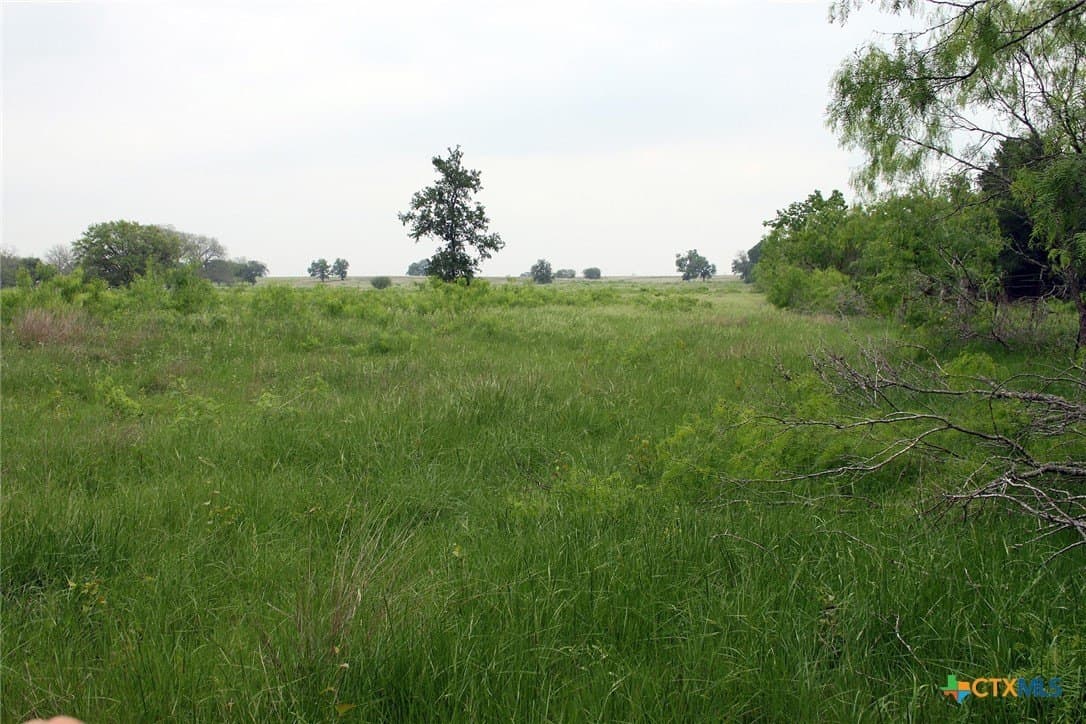 36.03 acres in Caldwell County - photo 16
