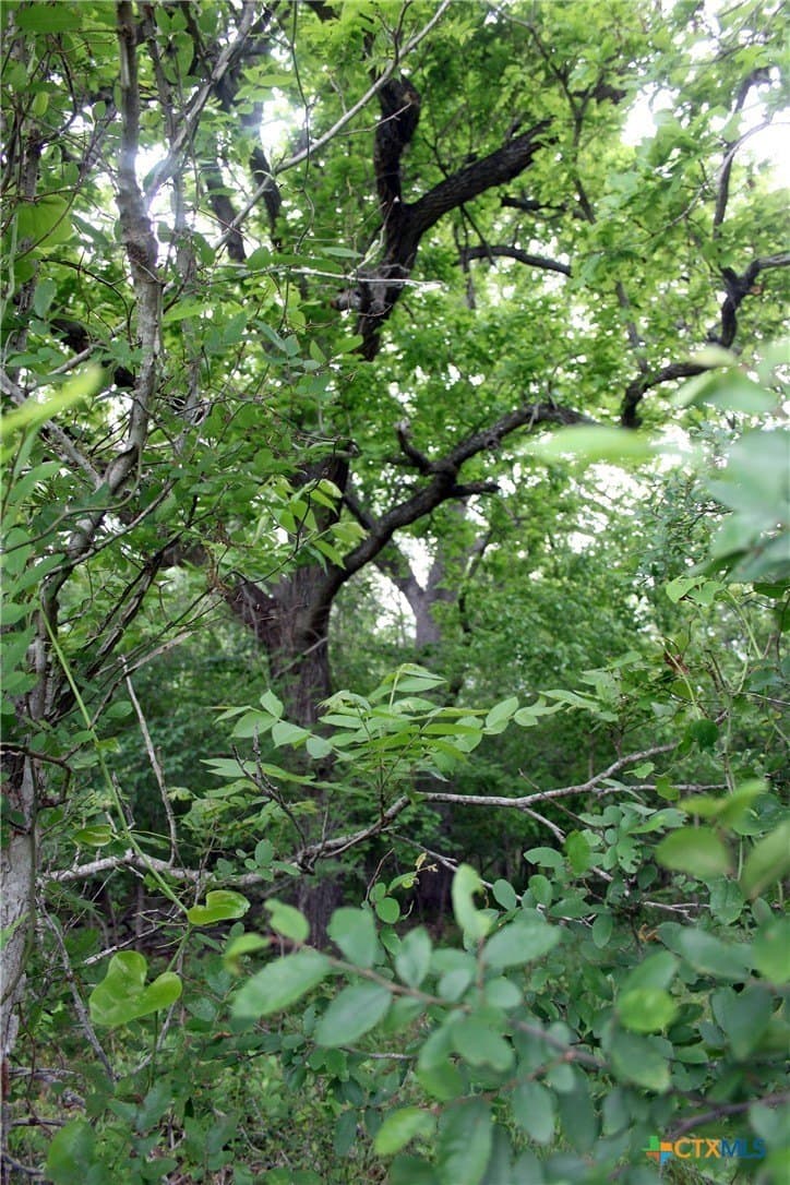 36.03 acres in Caldwell County - photo 12