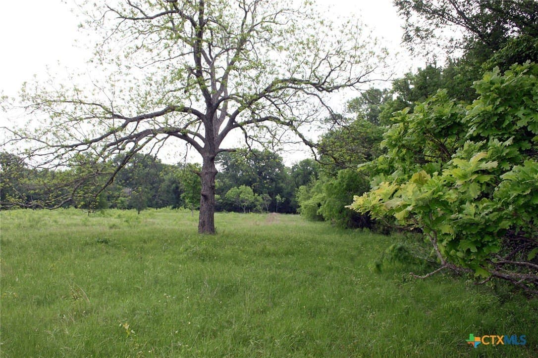 36.03 acres in Caldwell County - photo 14