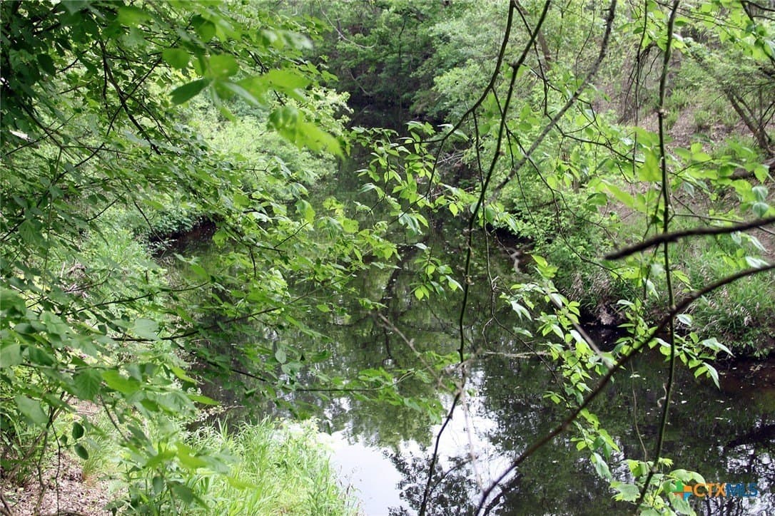36.03 acres in Caldwell County gallery image 4