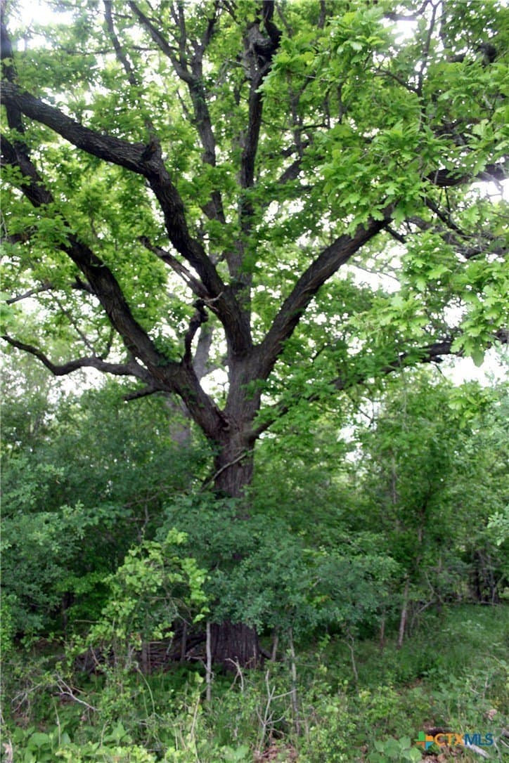 36.03 acres in Caldwell County - photo 15