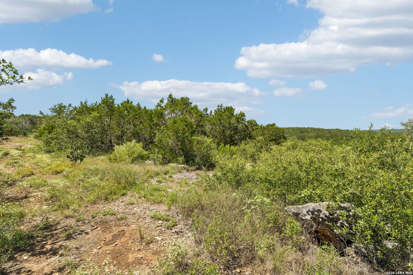 14.59 acres in Hays County - photo 10