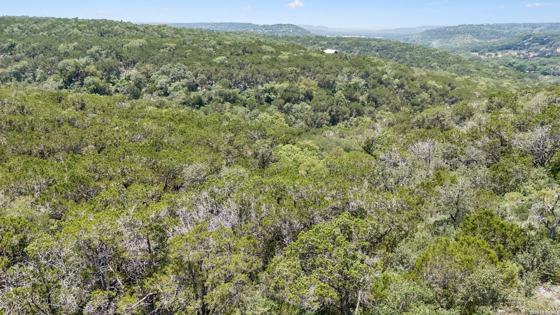 14.59 acres in Hays County gallery image 3