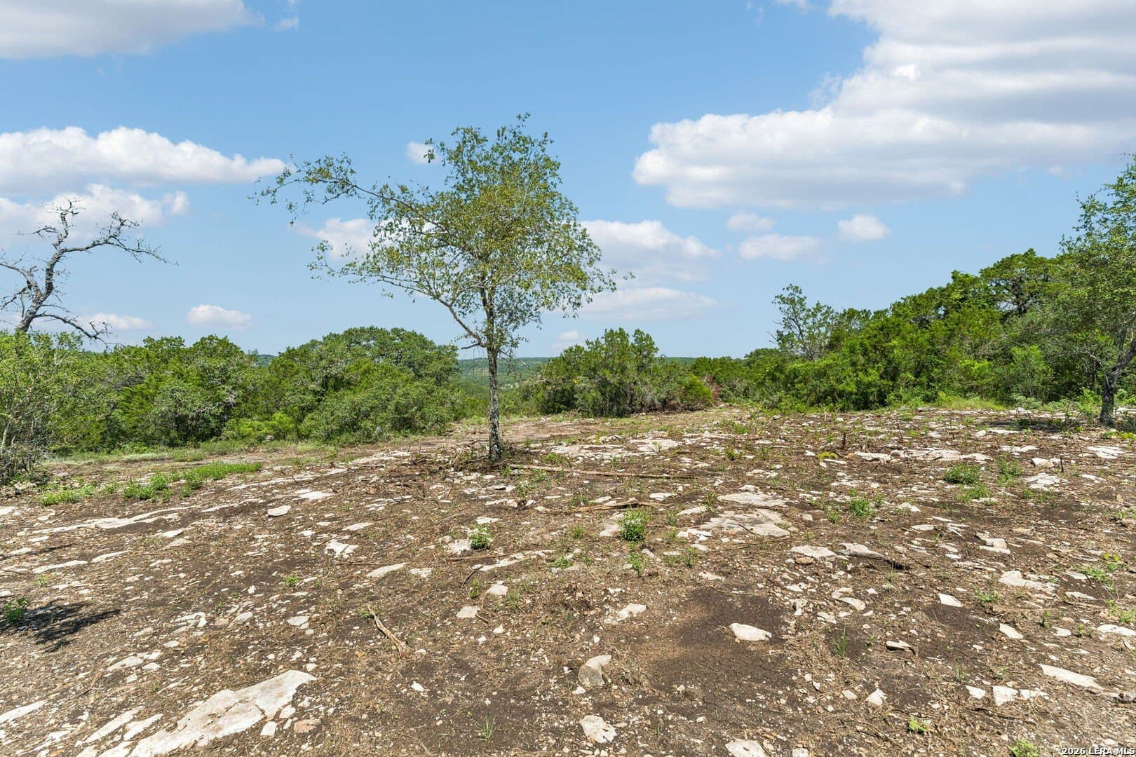 14.59 acres in Hays County - photo 17