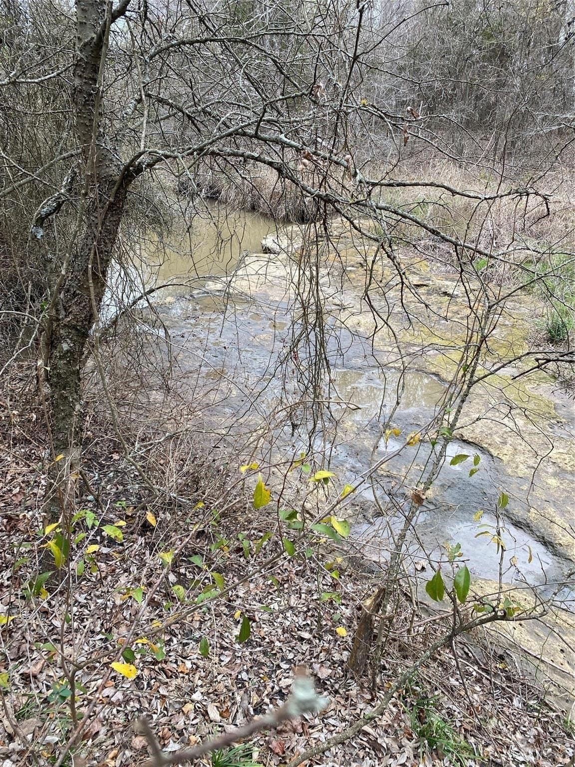 33.63 acres in Fannin County - photo 18