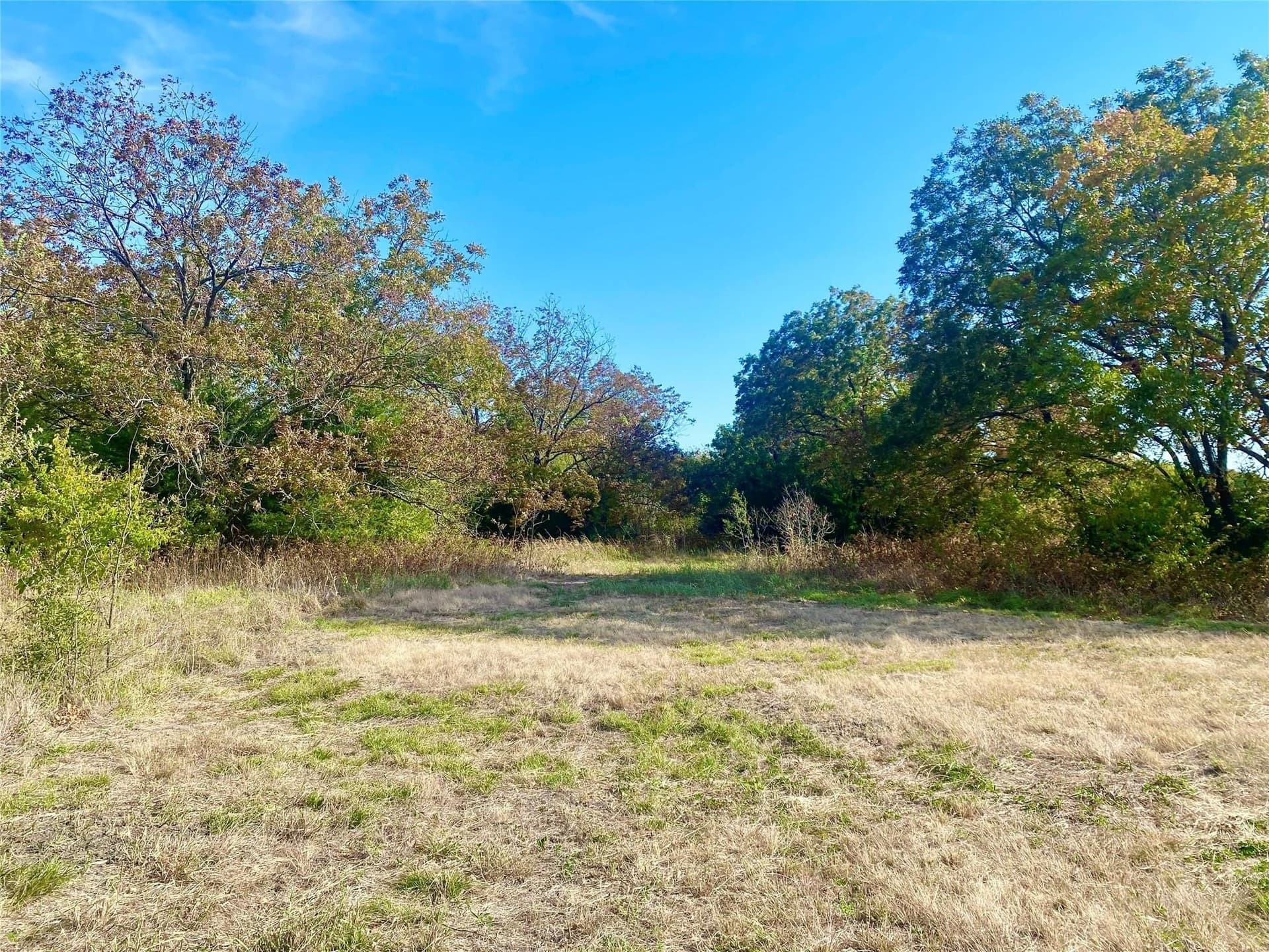33.63 acres in Fannin County - photo 4