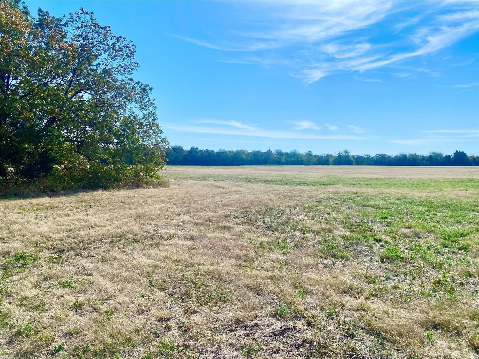 33.63 acres in Fannin County - photo 7