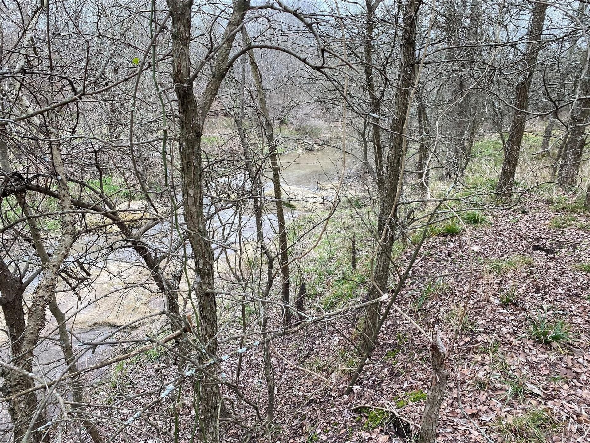 33.63 acres in Fannin County - photo 20