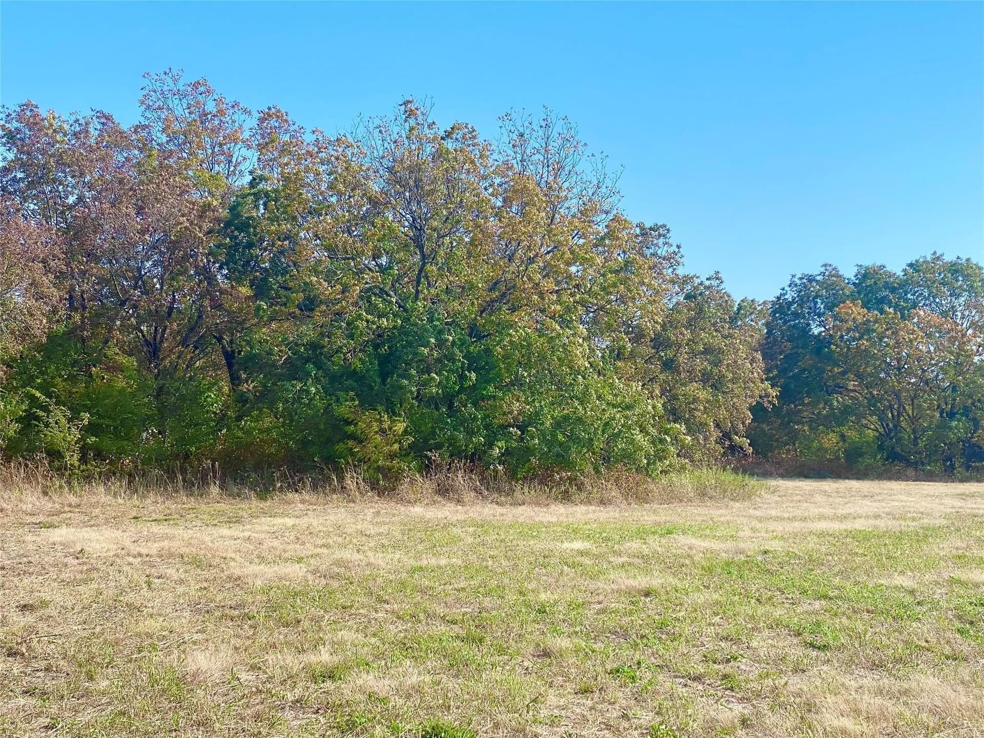 33.63 acres in Fannin County - photo 6