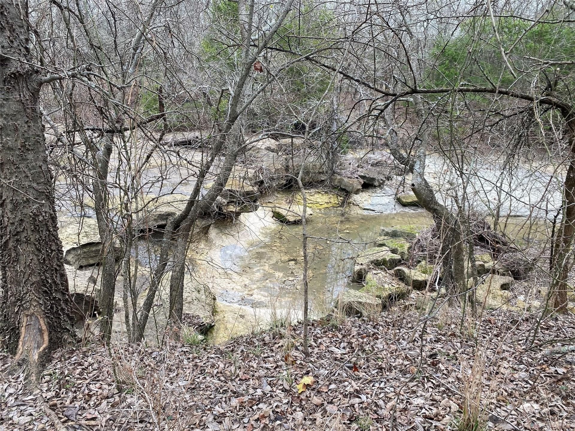 33.63 acres in Fannin County - photo 19