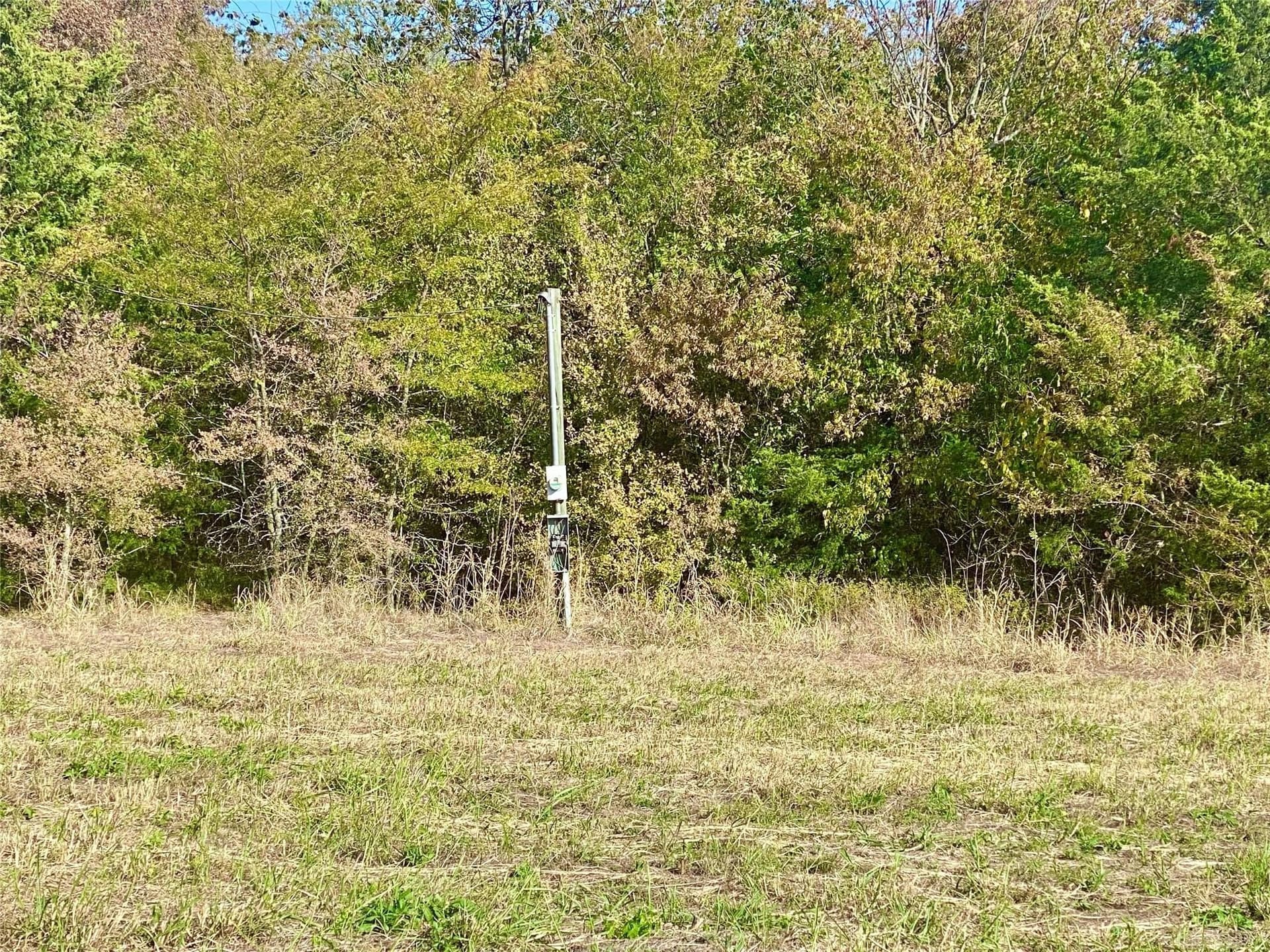 33.63 acres in Fannin County - photo 3