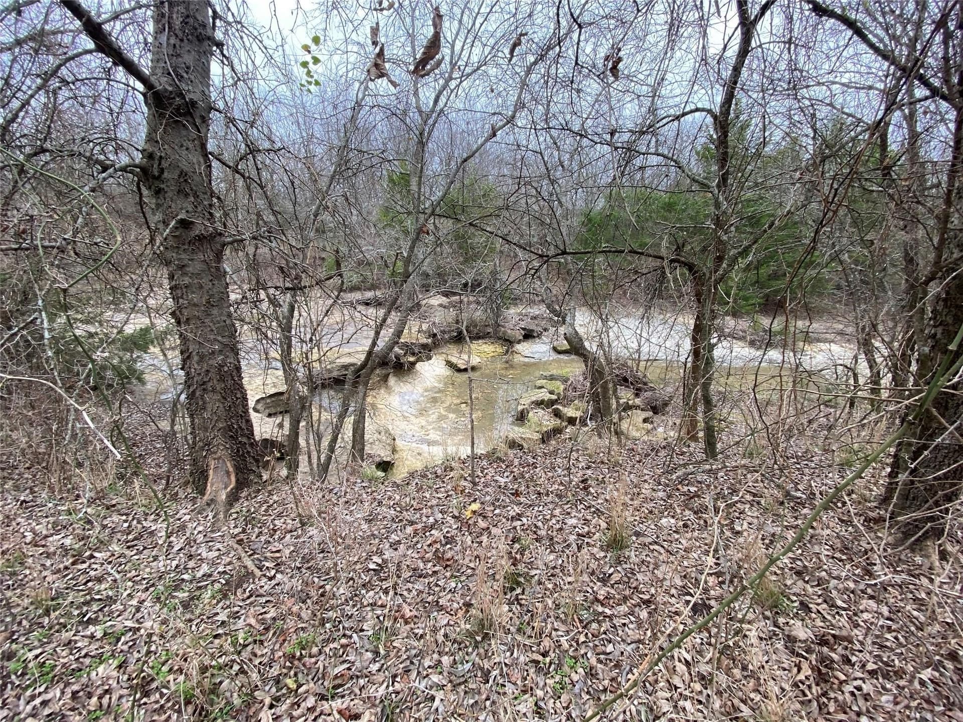 33.63 acres in Fannin County - photo 17