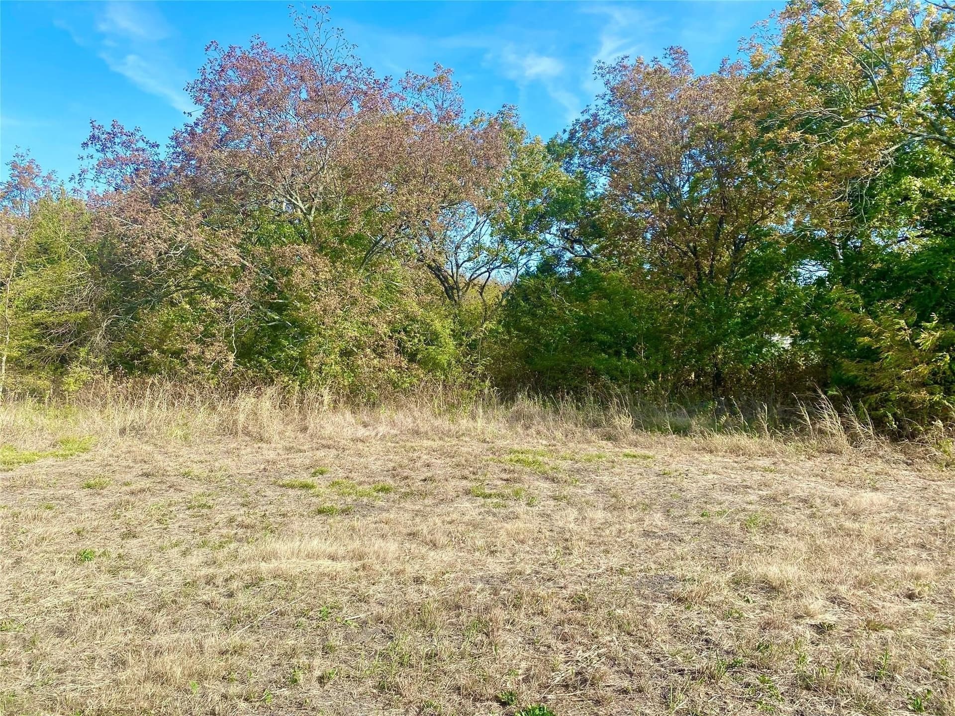 33.63 acres in Fannin County - photo 5