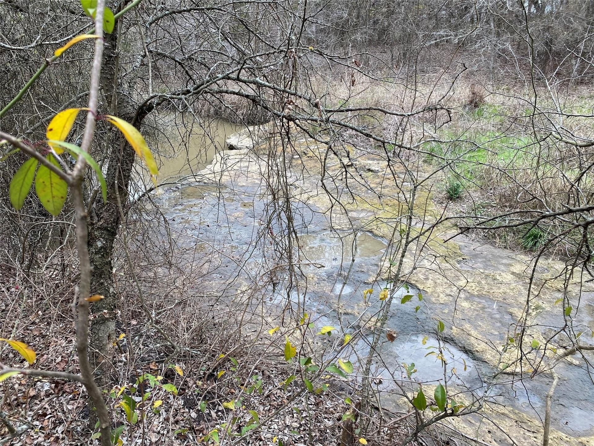 33.63 acres in Fannin County - photo 16