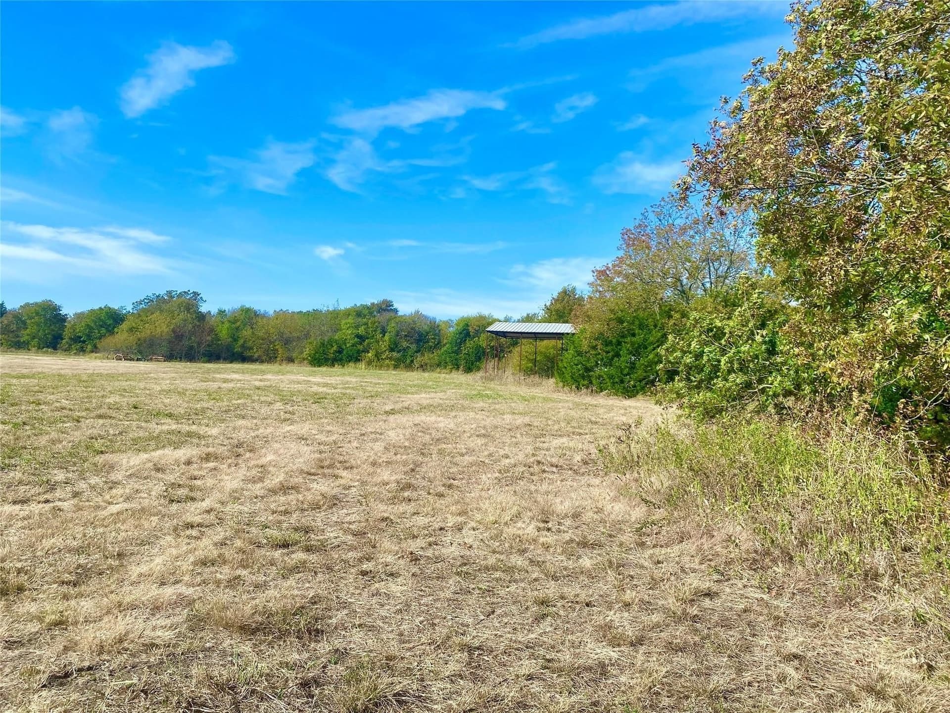 33.63 acres in Fannin County - photo 8