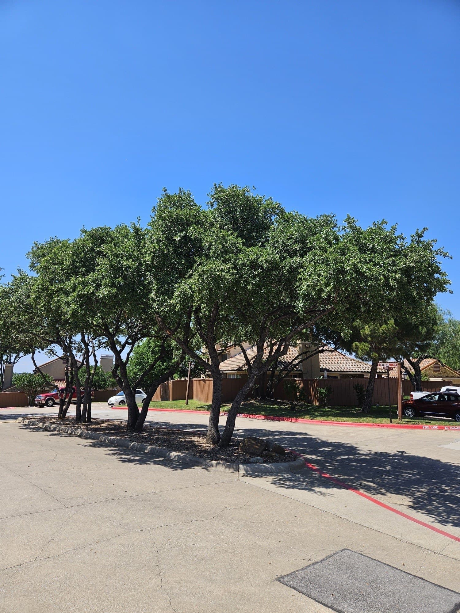 25.76 acres in Dallas County - photo 14