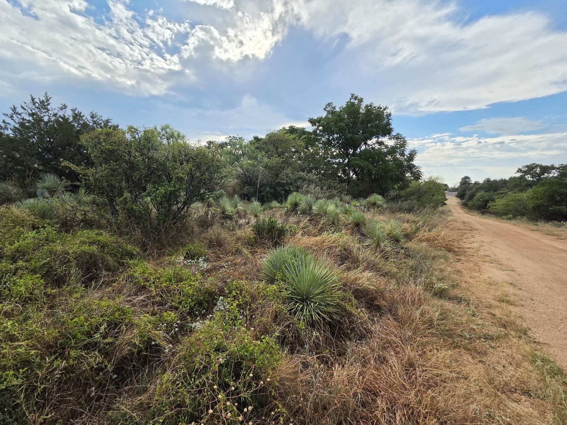 0.44 acres in Burnet County - photo 2