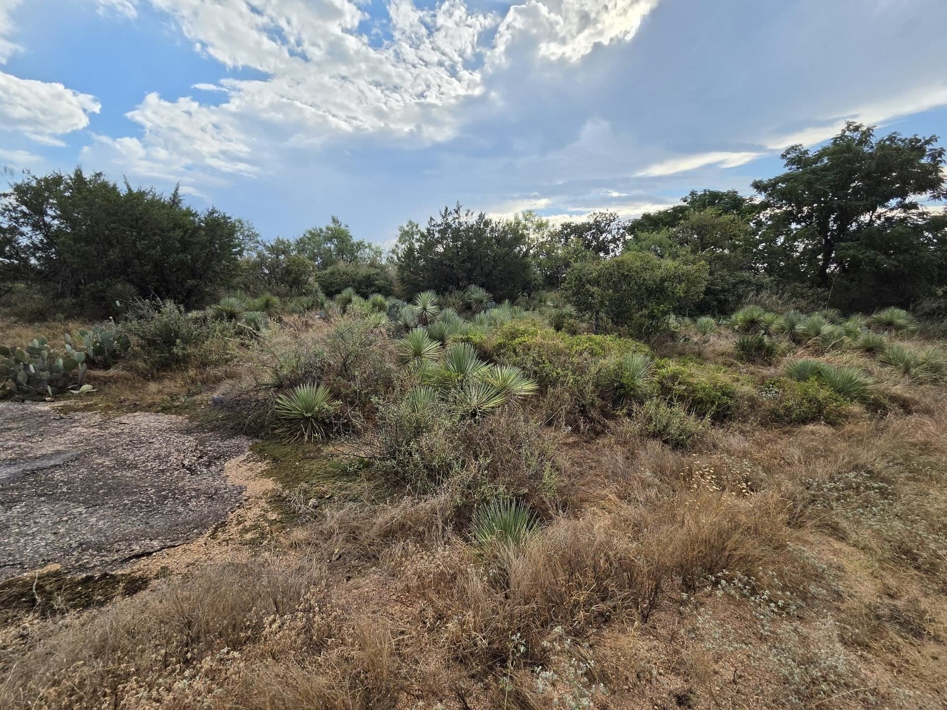 0.44 acres in Burnet County - photo 3