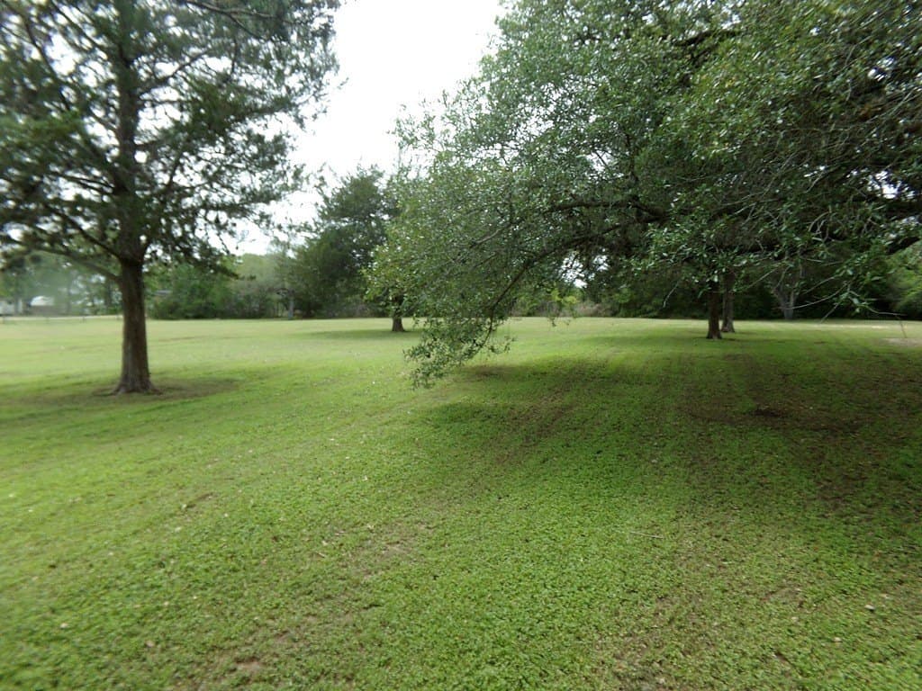 3.98 acres in Colorado County gallery image 2