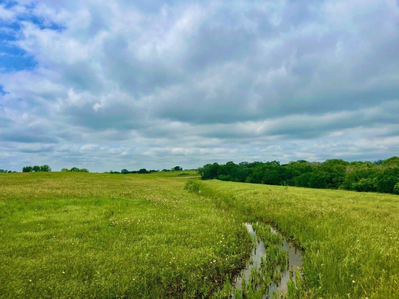 2.06 acres in Parker County - photo 2