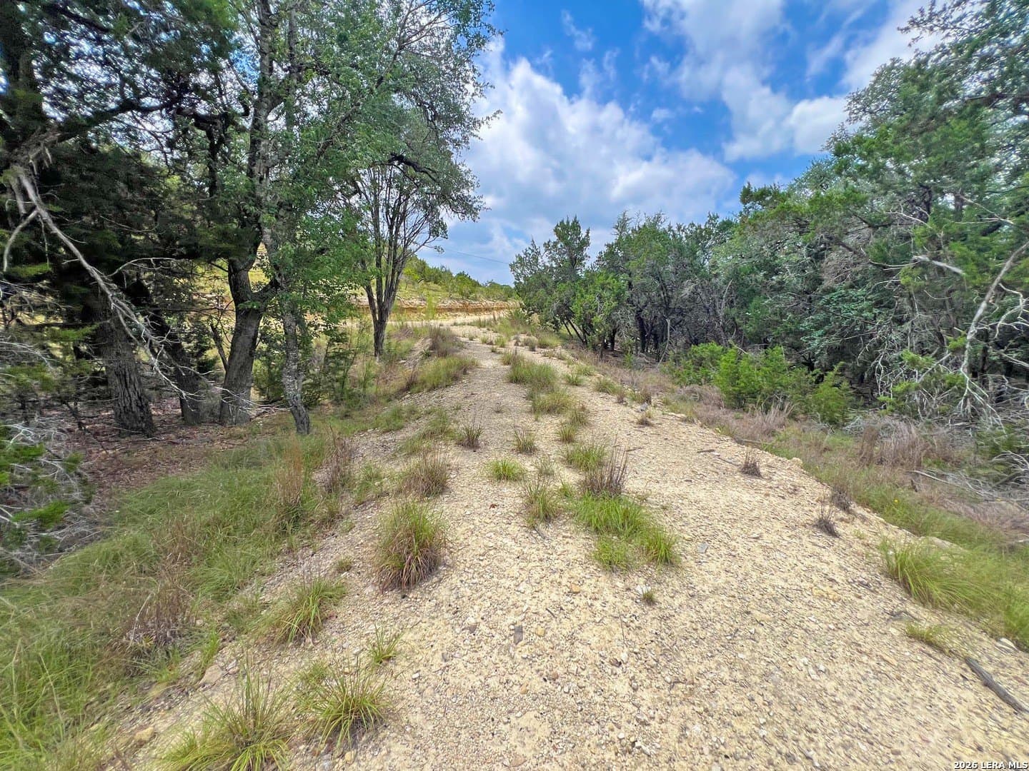 3.85 acres in Blanco County - photo 9