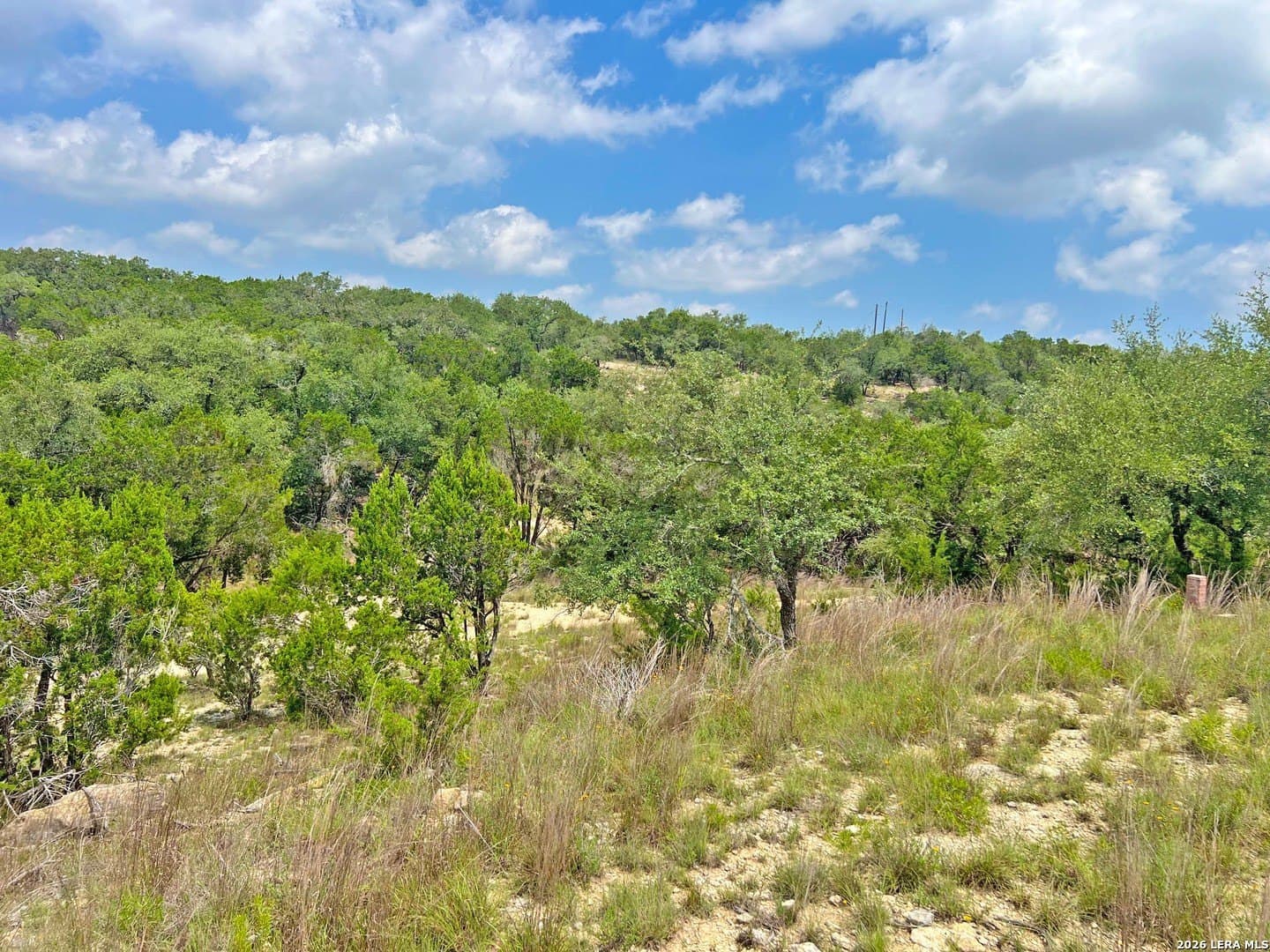 3.85 acres in Blanco County - photo 13