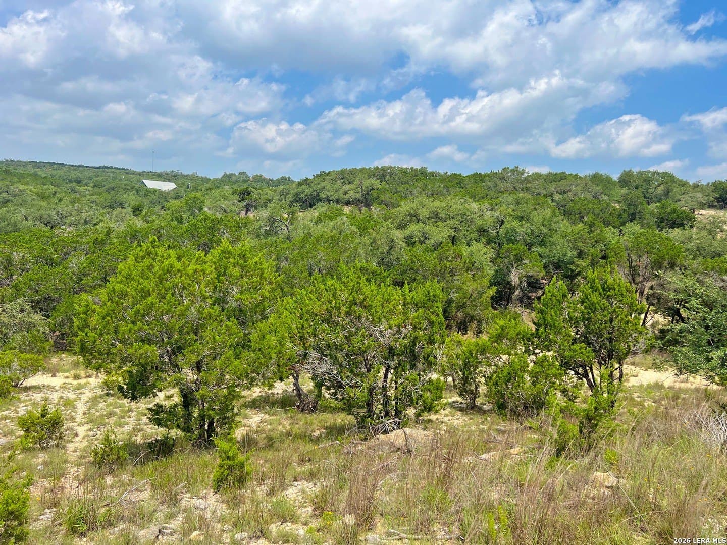 3.85 acres in Blanco County - photo 6
