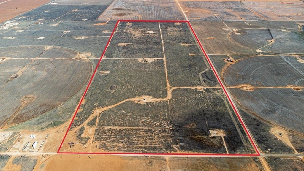 240 acres in Gaines County gallery image 4
