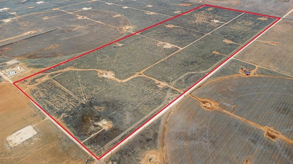 240 acres in Gaines County gallery image 2