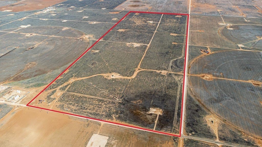 240 acres in Gaines County gallery image 3