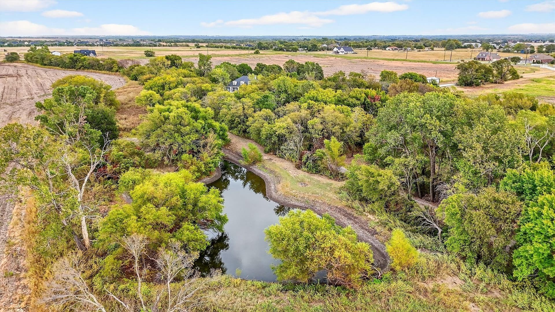 55.6 acres in Grayson County gallery image 3