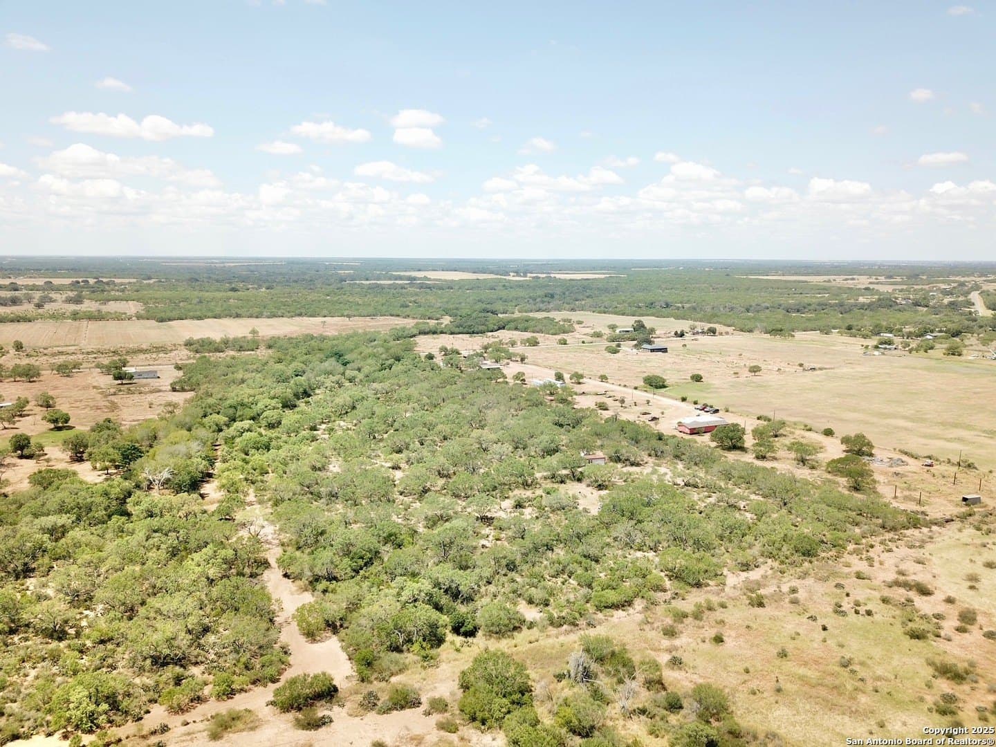 21.37 acres in Atascosa County gallery image 2