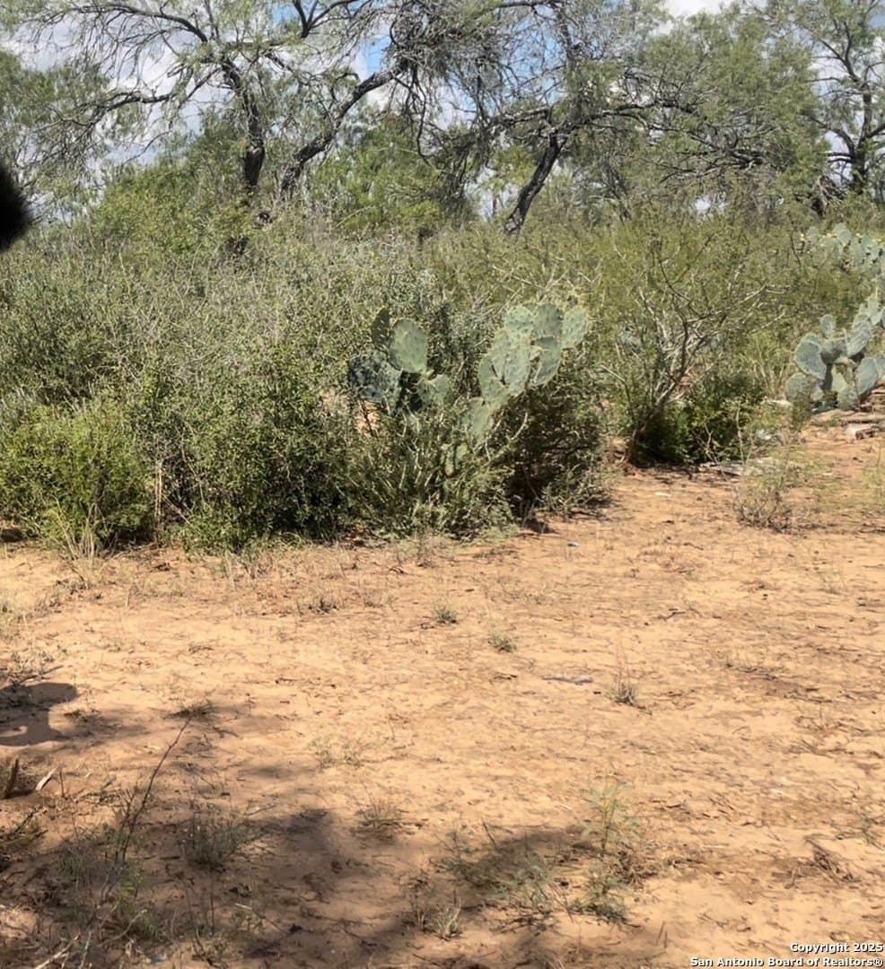 21.37 acres in Atascosa County - photo 9