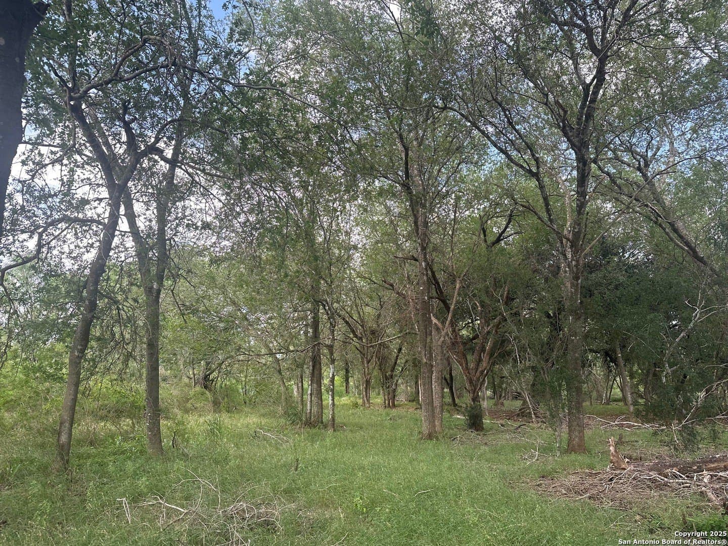21.37 acres in Atascosa County - photo 8