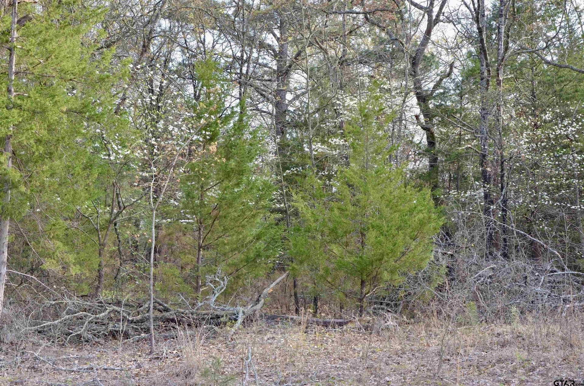 0.5 acres in Wood County - photo 6