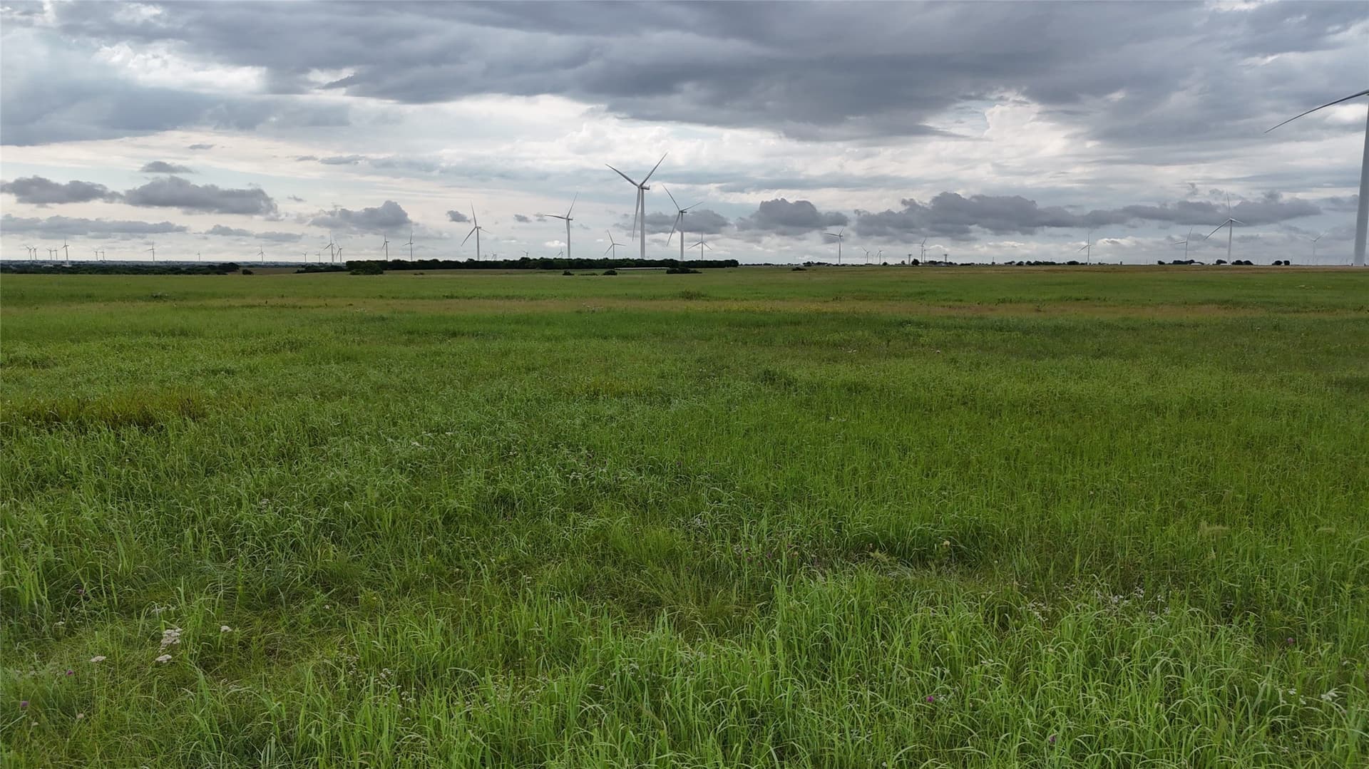 19.64 acres in Cooke County - photo 29