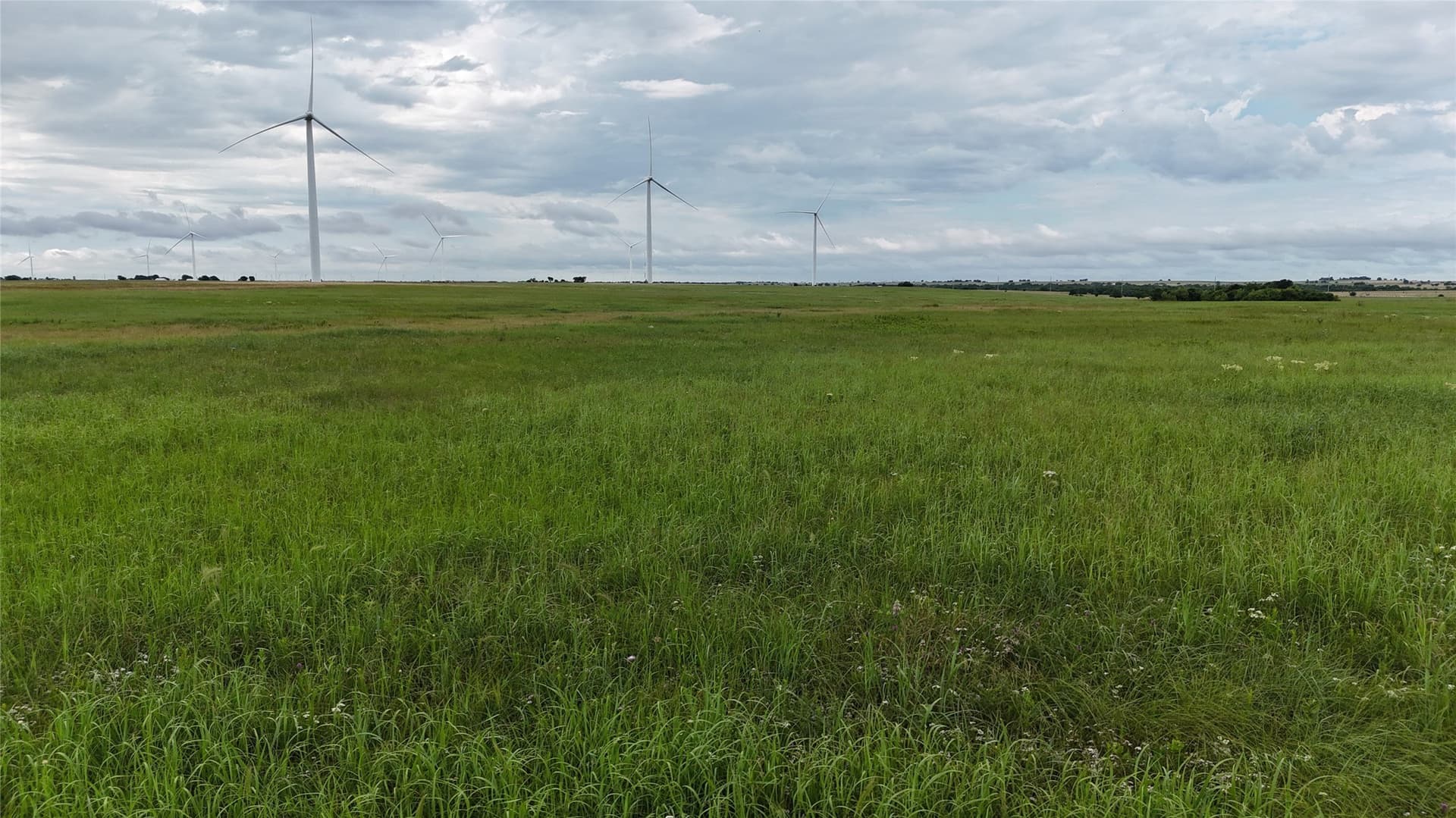 19.64 acres in Cooke County - photo 31