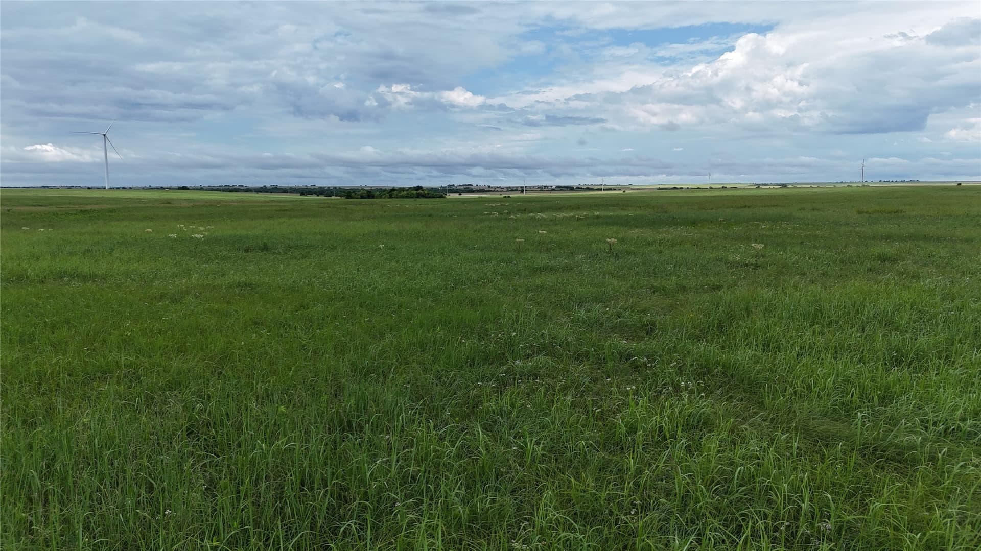19.64 acres in Cooke County - photo 21