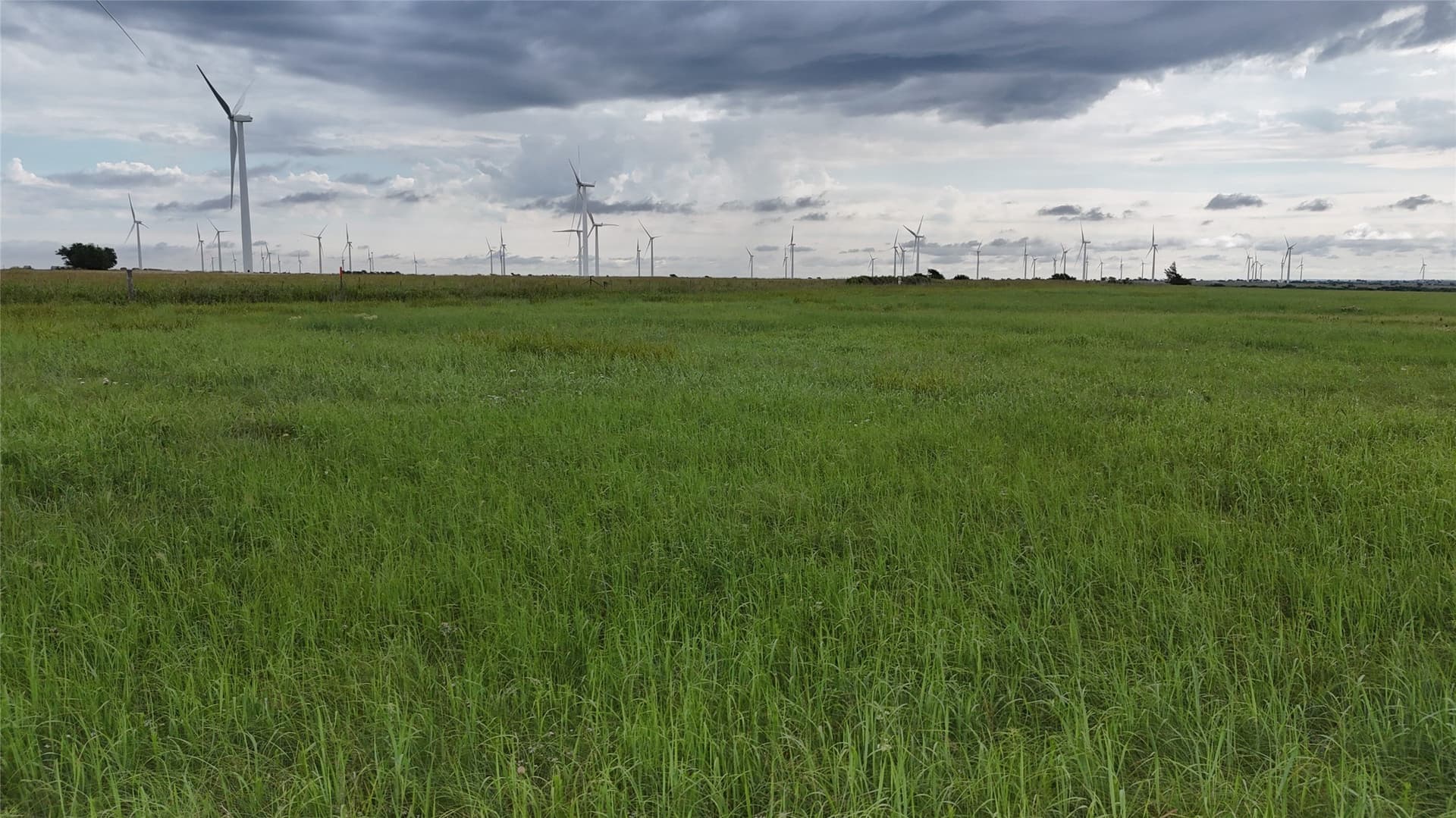 19.64 acres in Cooke County - photo 25