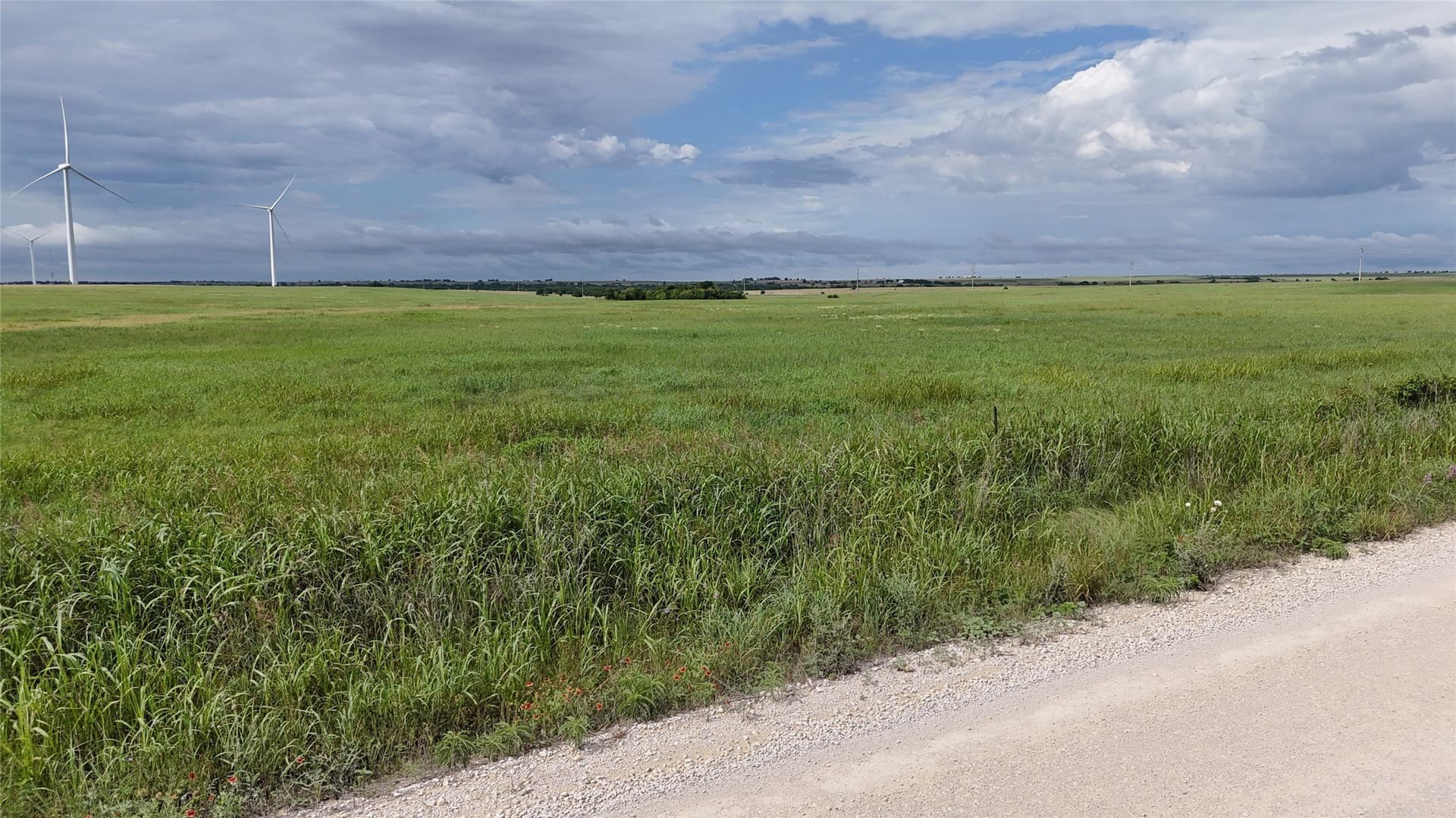 19.64 acres in Cooke County - photo 14