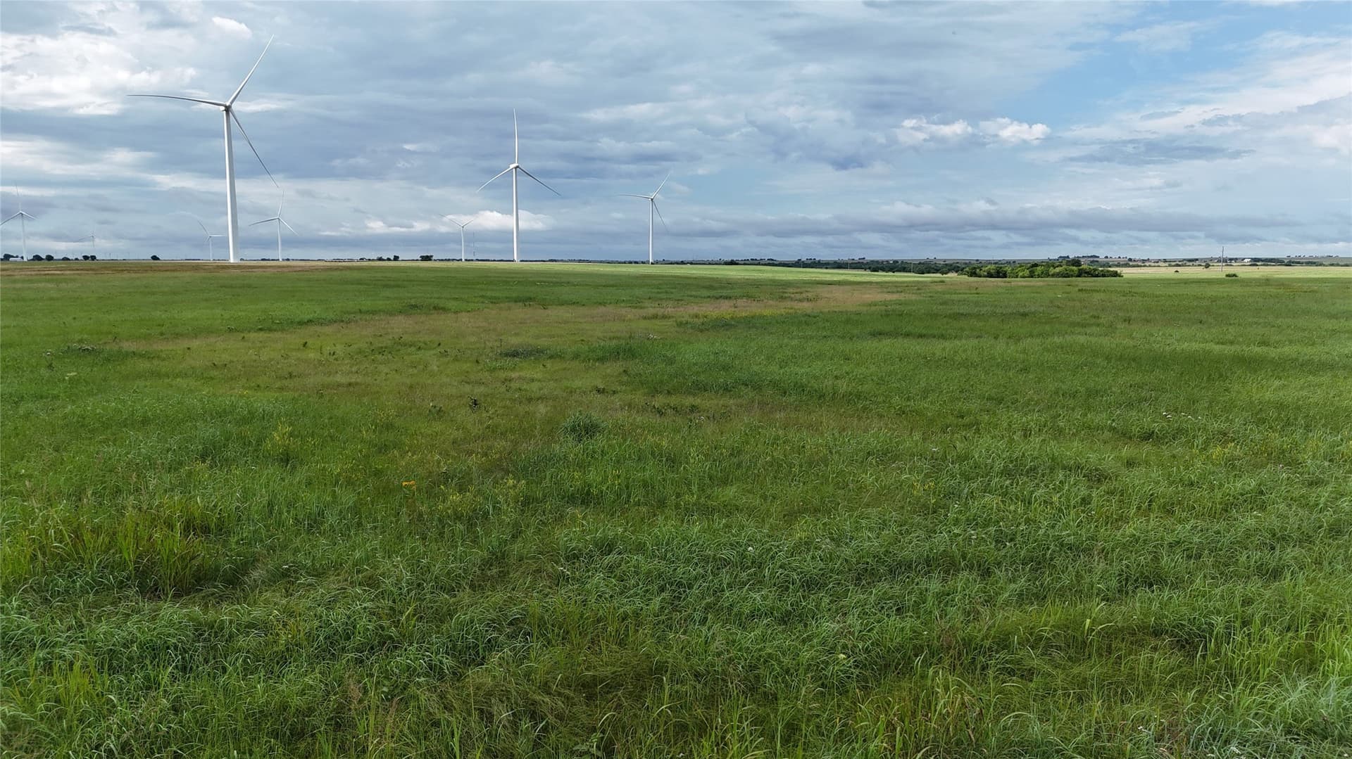 19.64 acres in Cooke County - photo 18