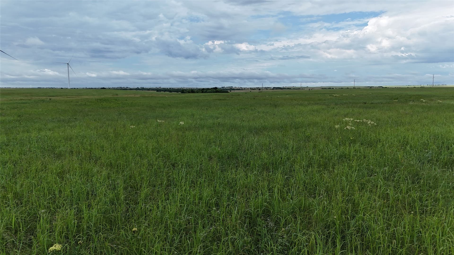 19.64 acres in Cooke County - photo 27