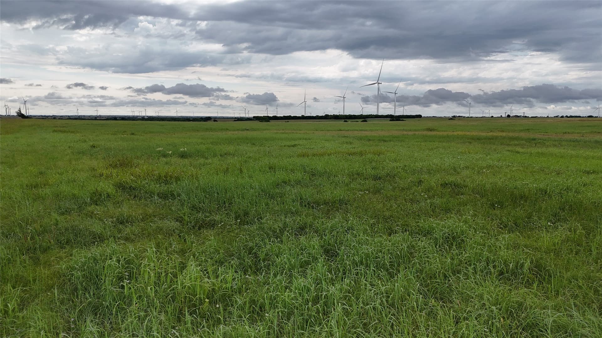 19.64 acres in Cooke County - photo 19