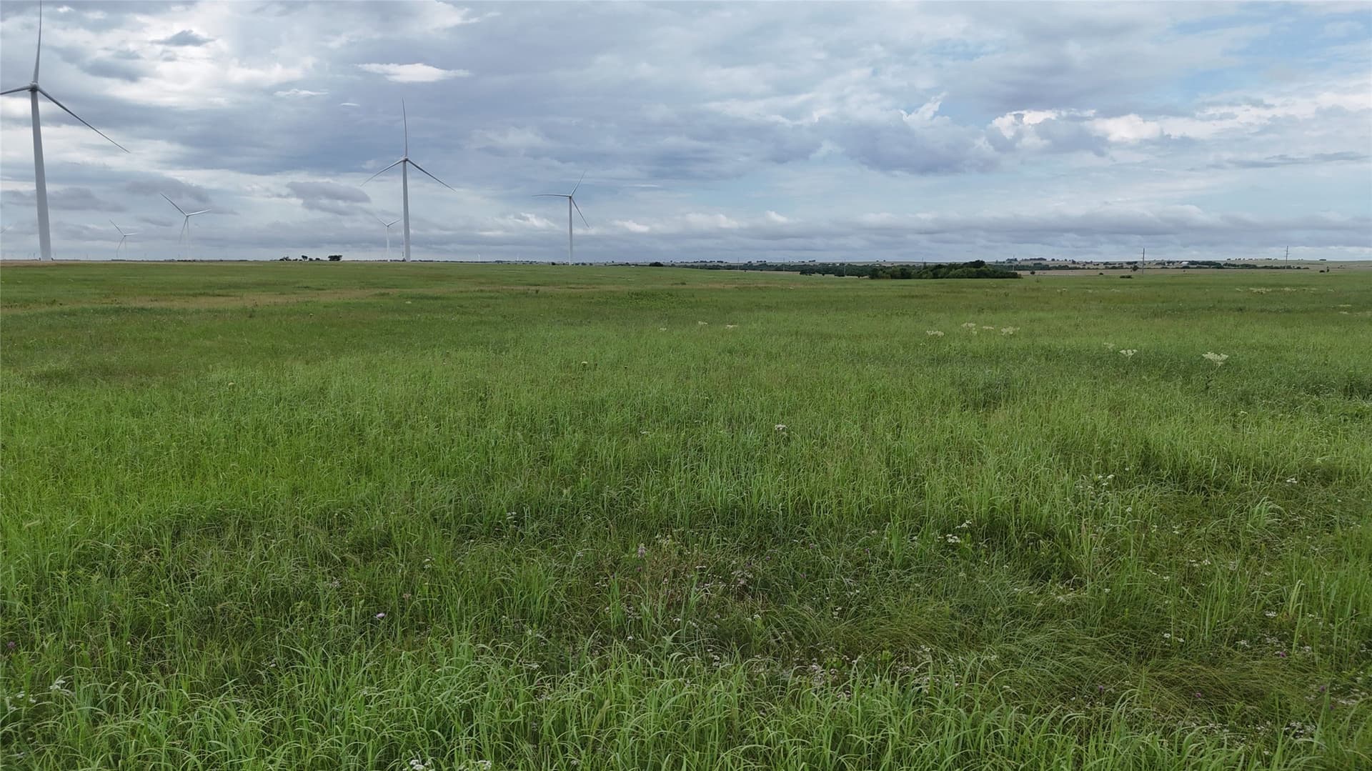 19.64 acres in Cooke County - photo 30