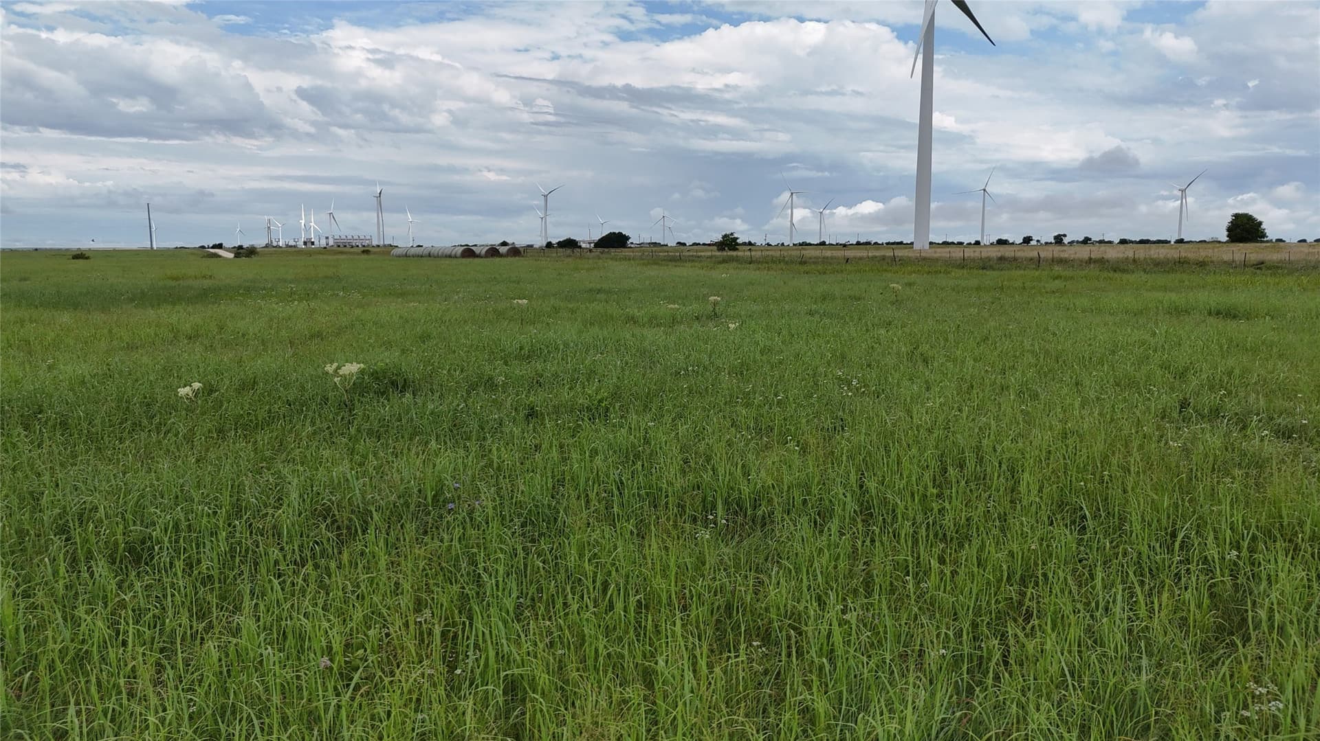 19.64 acres in Cooke County - photo 26