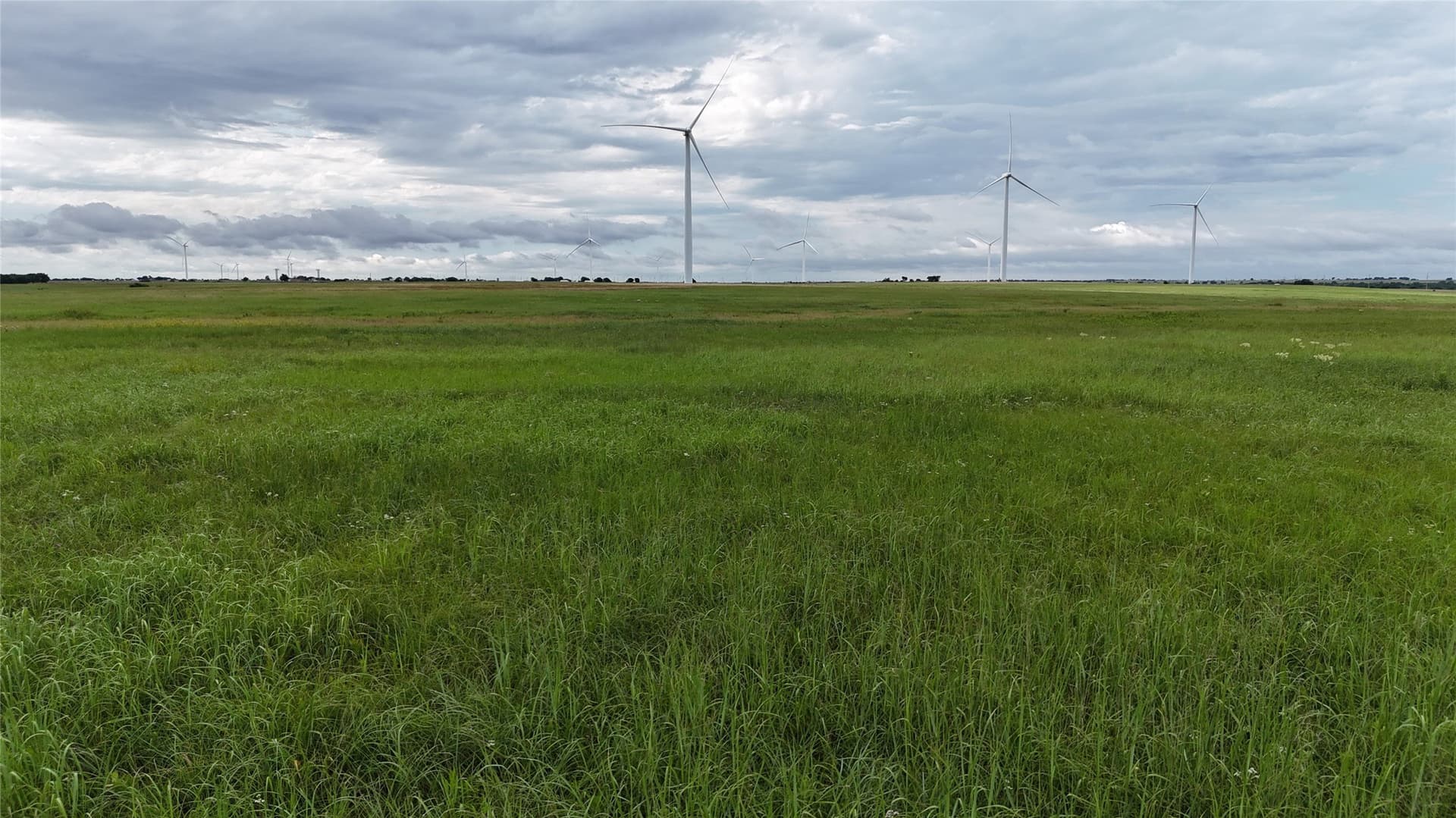 19.64 acres in Cooke County - photo 20