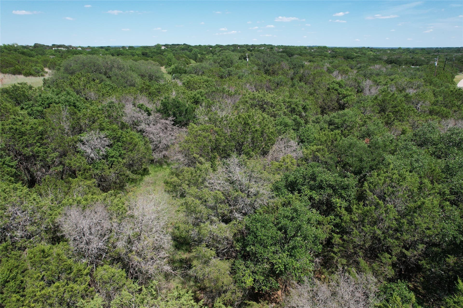 10 acres in Parker County gallery image 2