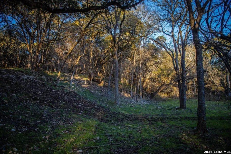 75 acres in Comal County - photo 7
