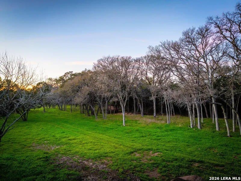 75 acres in Comal County - photo 9