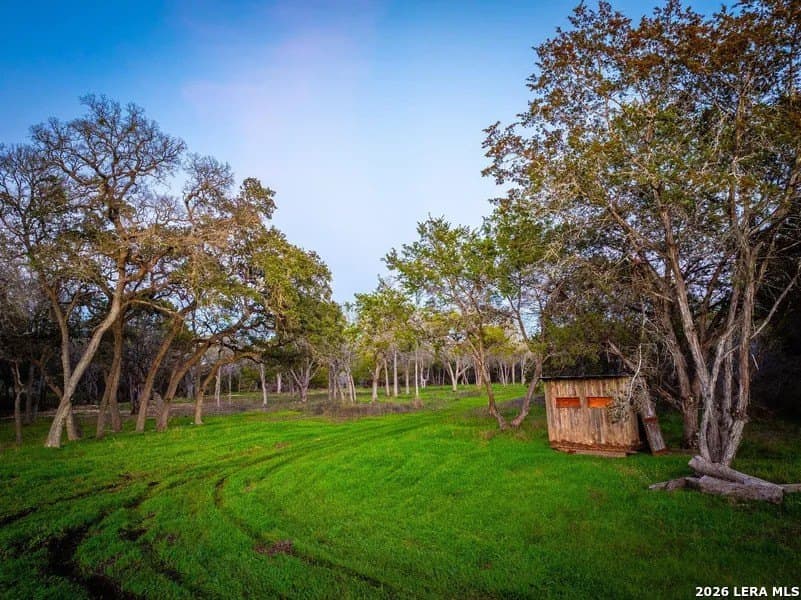 75 acres in Comal County - photo 10